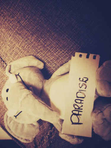 10_wpis