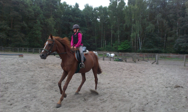 Galop!!!