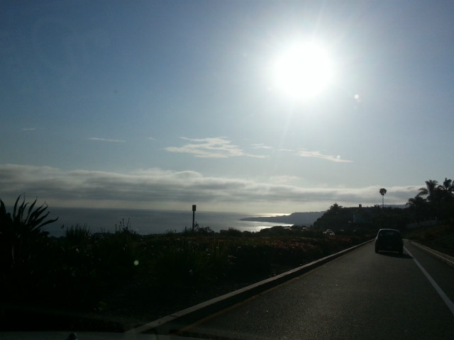 greetings from paradise