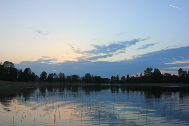 Wakajszans