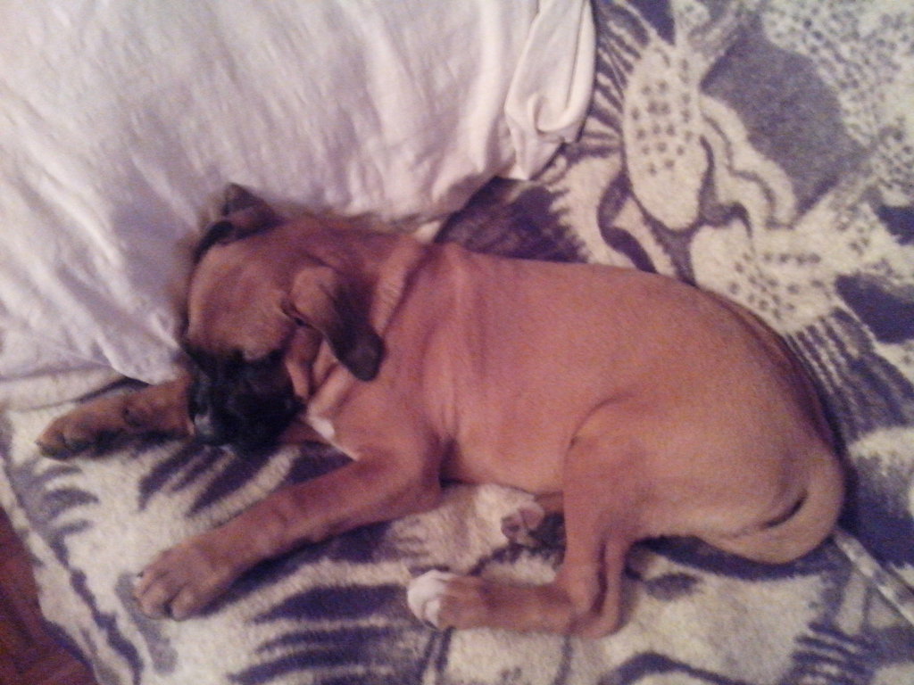 Niunia. ;*