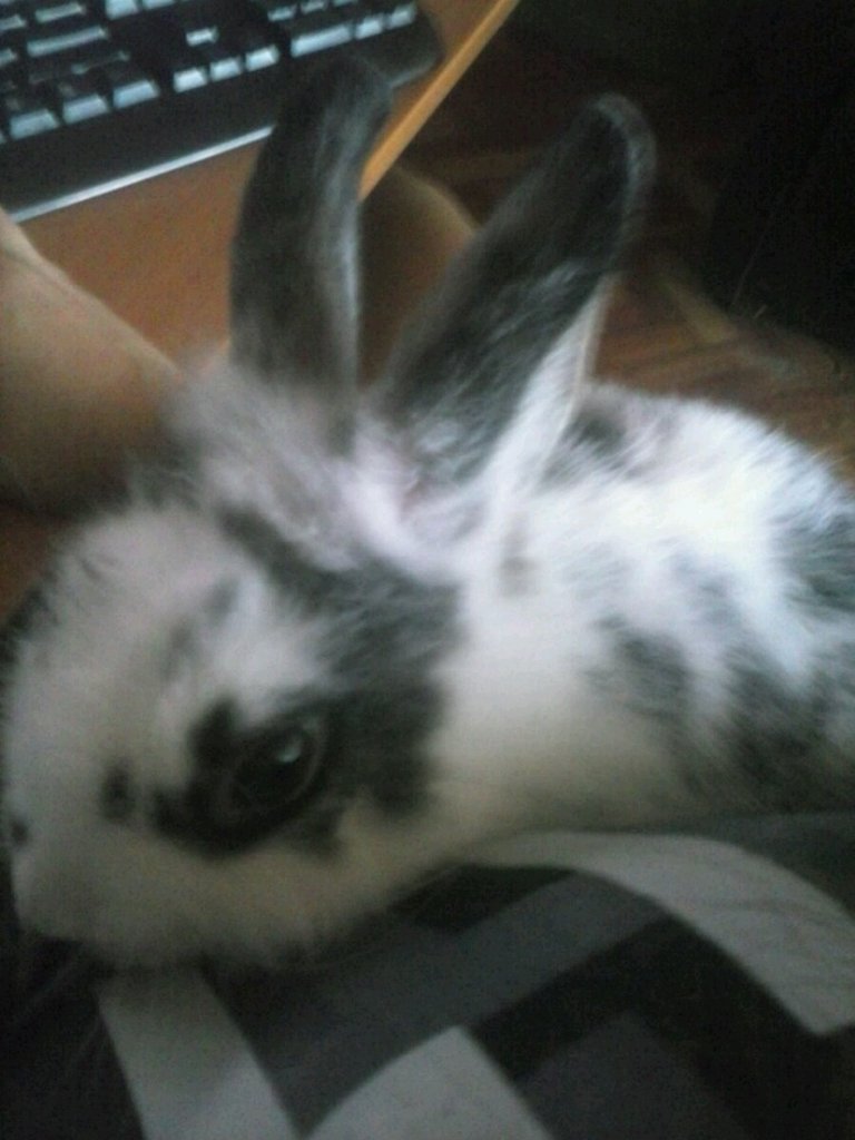 :3