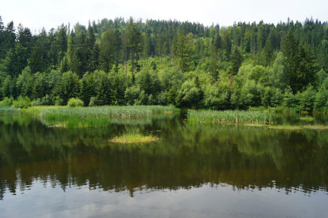 Wakacje