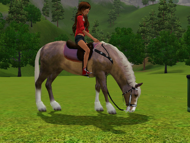 Simsy