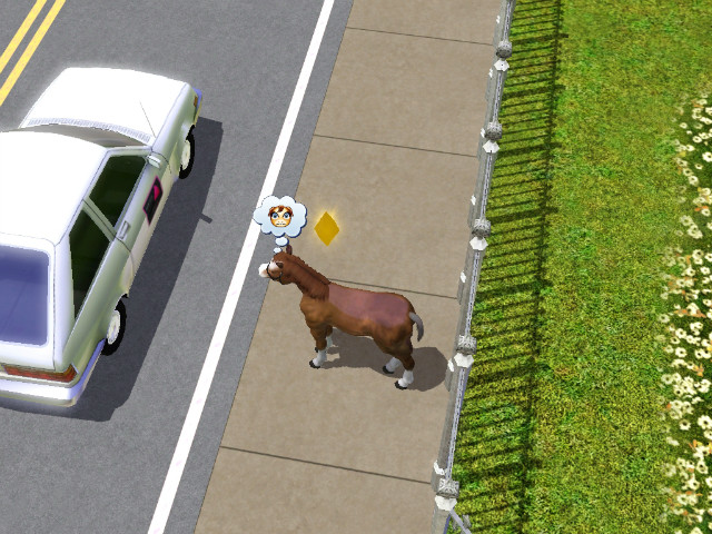 Simsy