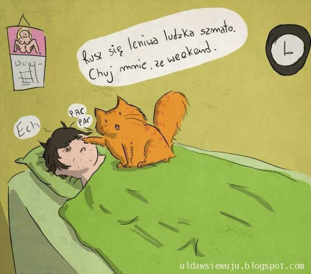 Prawie jak Ruda