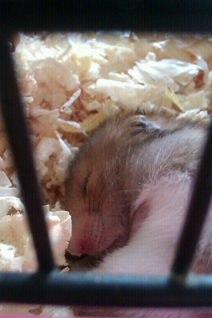 tak sobie pimy :)
