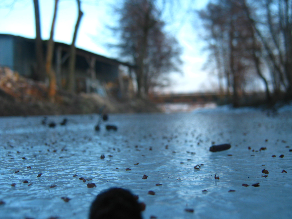 winter