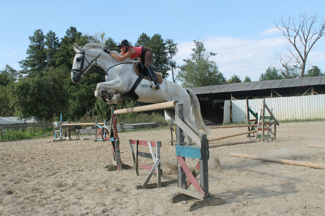 Elutek :*