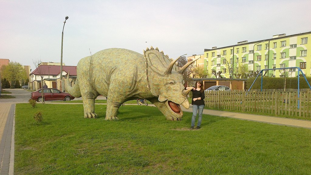 Bez tytuu .