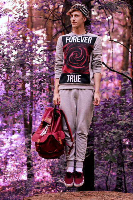 Rose in the Forest