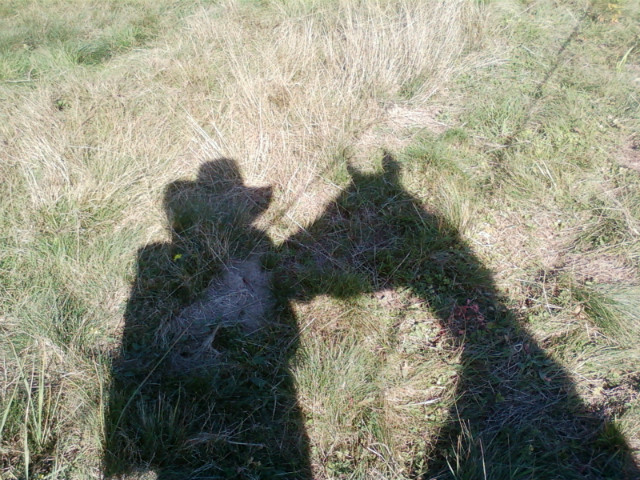 The Shadows