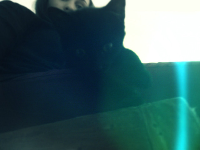 meow