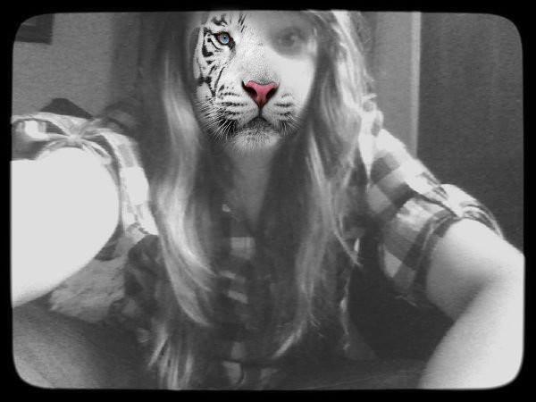 se tygrysegg -.- 