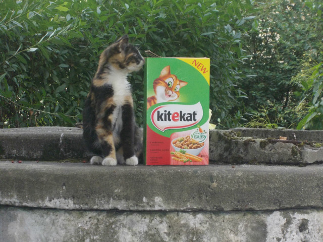 reklama  kitekat