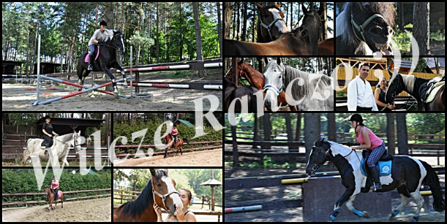 Wilcze Ranczo