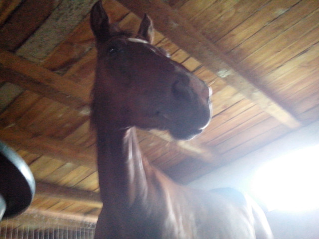 Grecjaa ;>