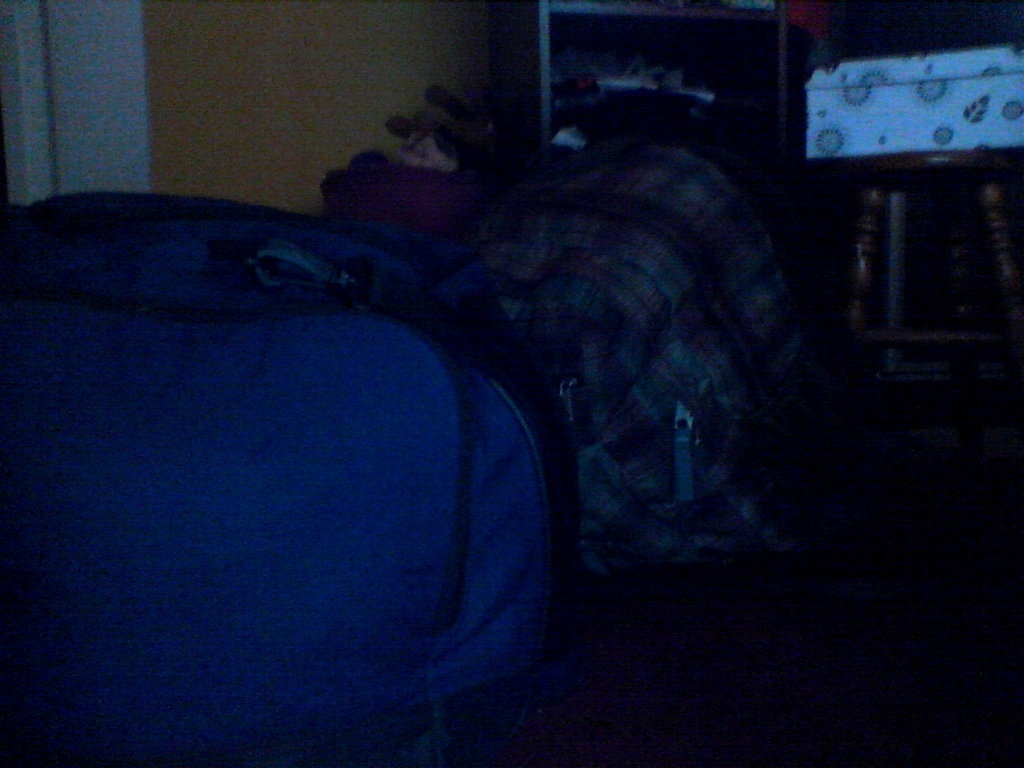 packed'n'ready.