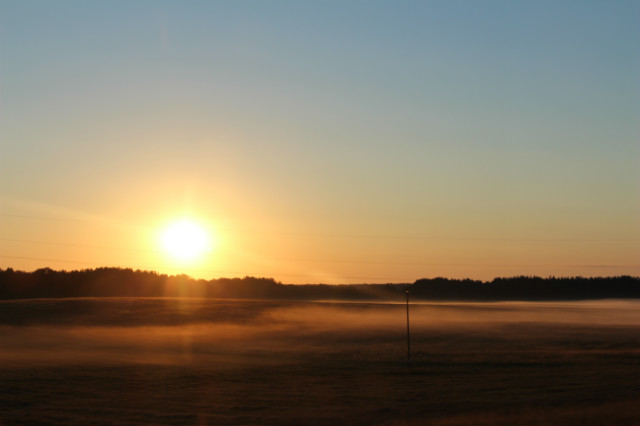 fog