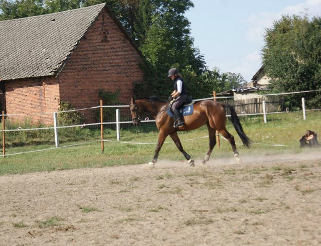 Brucio ^^