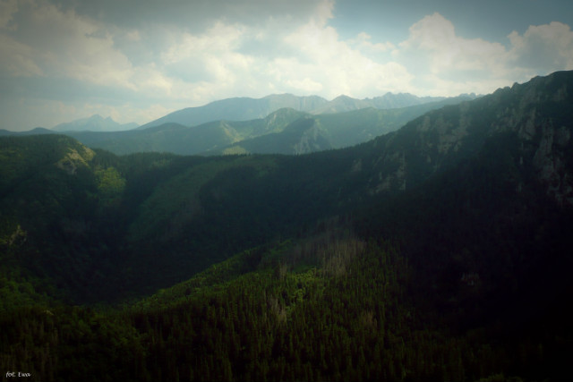 Widok z Sarniej Skay