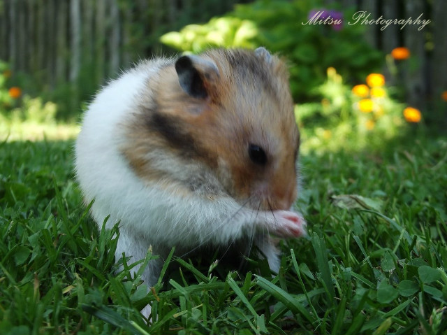 Zdzisaw :3
