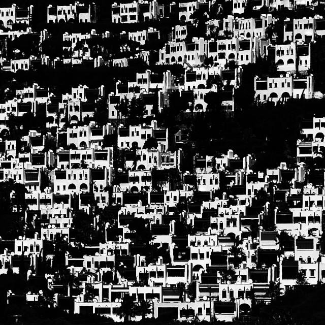 Hive