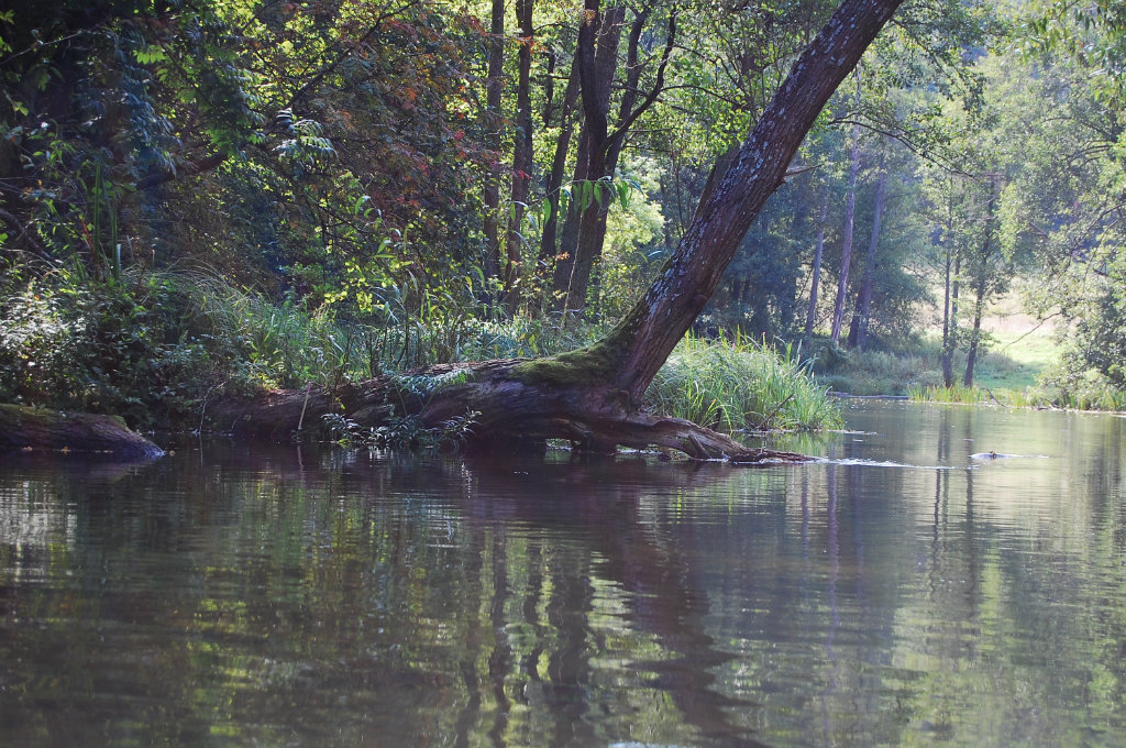 mazury