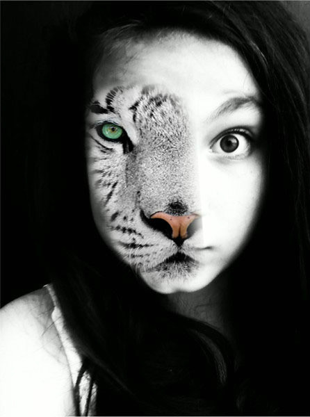 tygryszek ;3