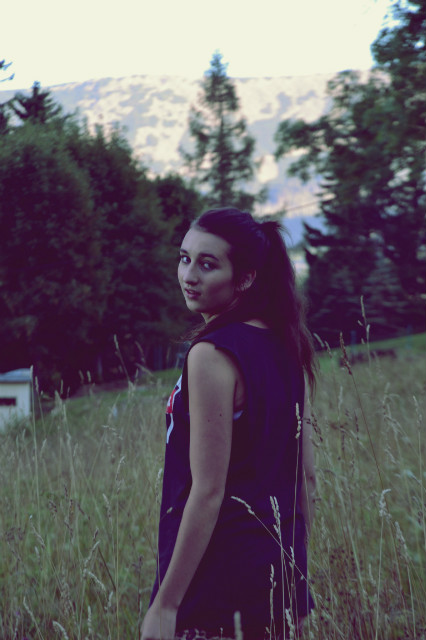 z wik 