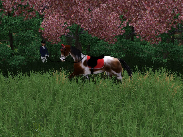 Konie the sims 3!!!