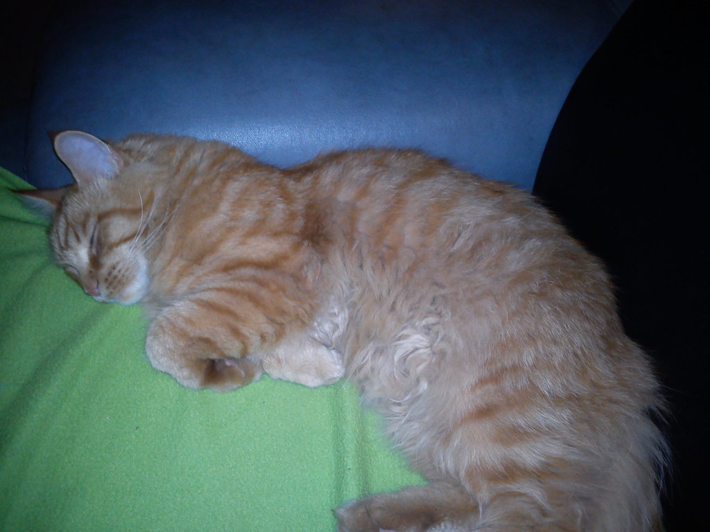 zuzanka :-)