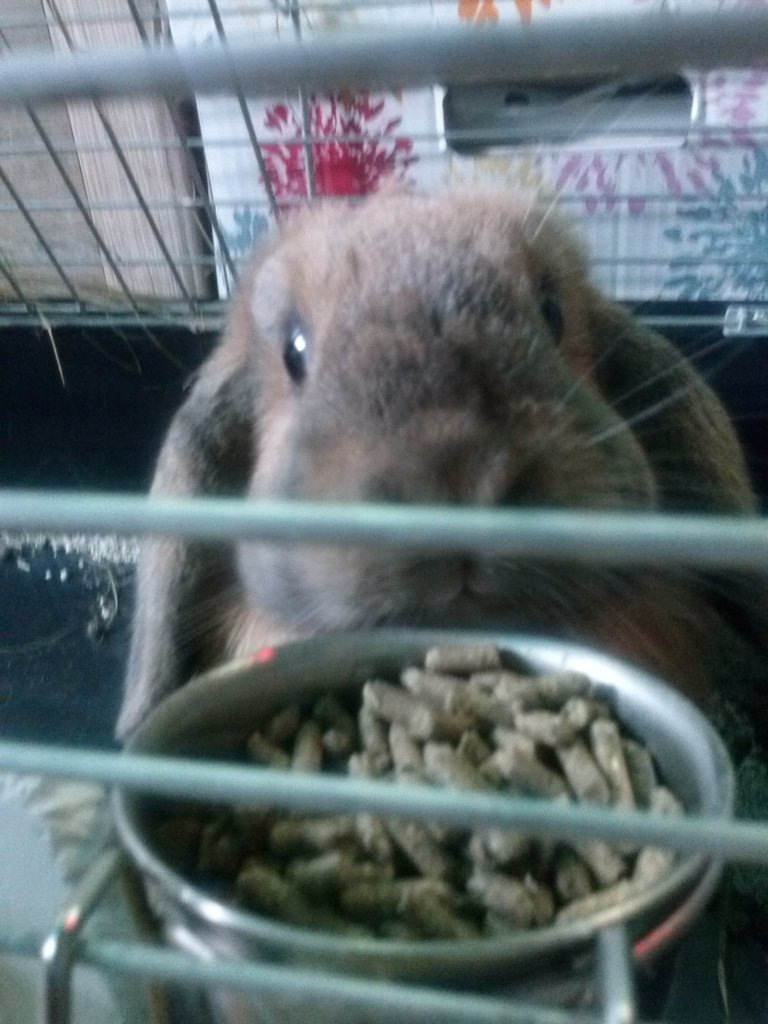 Tusio