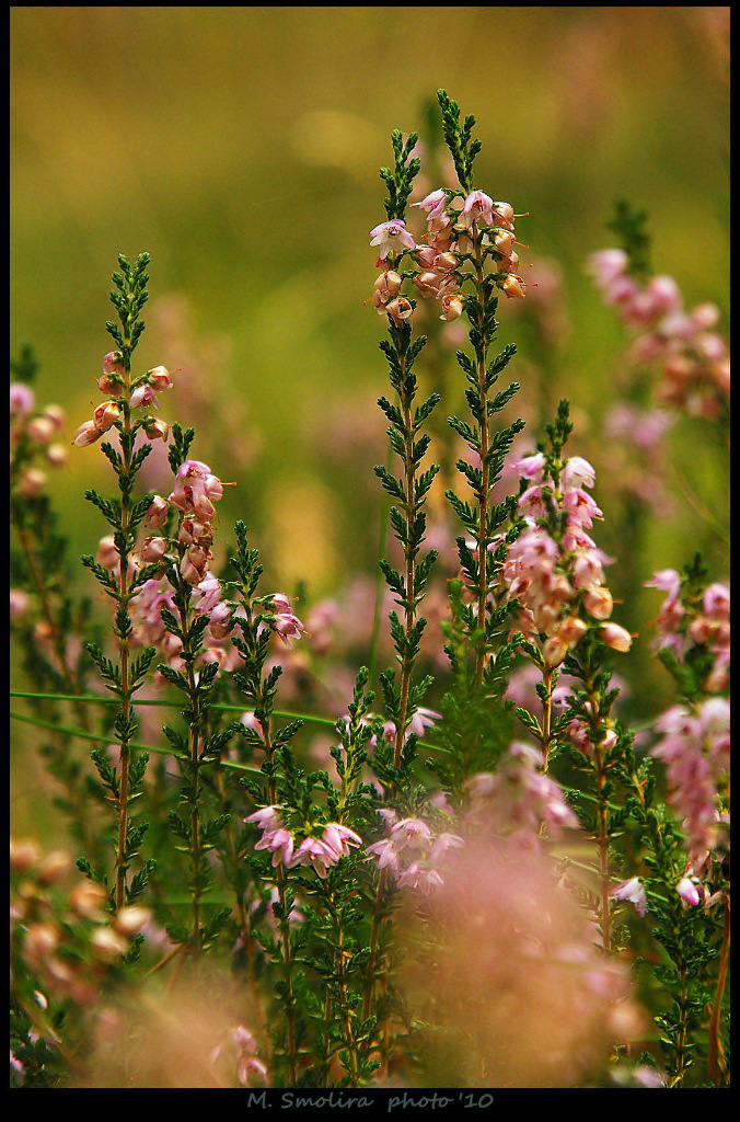 wspomnienia...