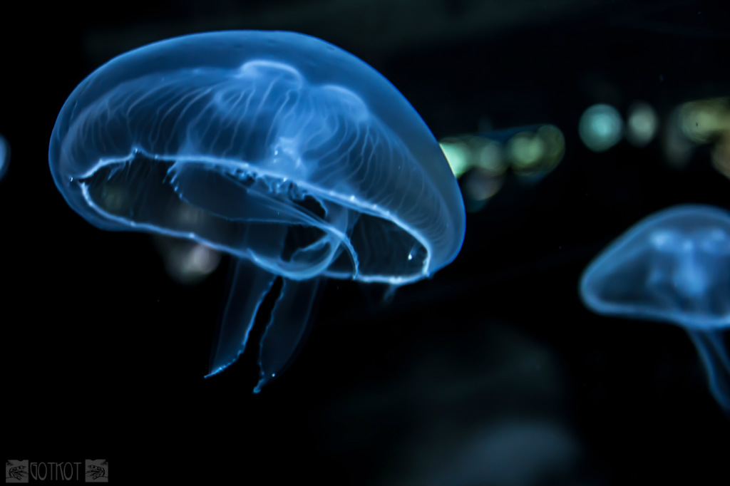 232. UFO