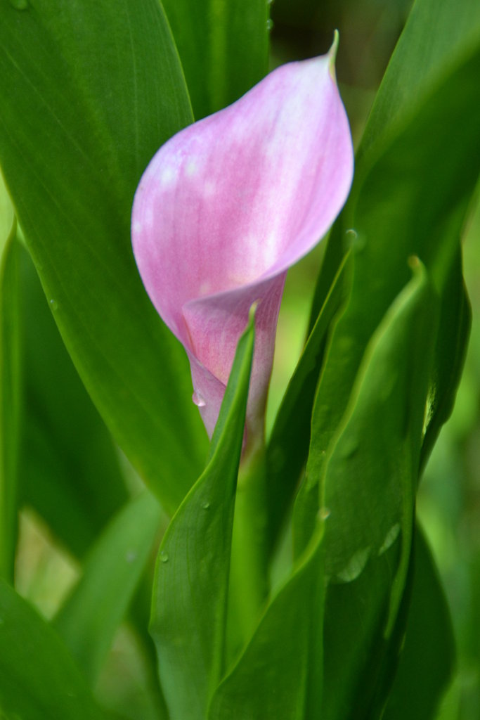 033