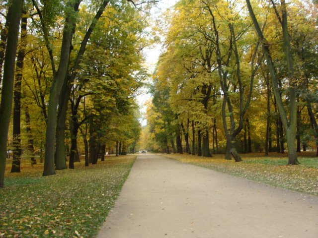 I run to you. . . . .