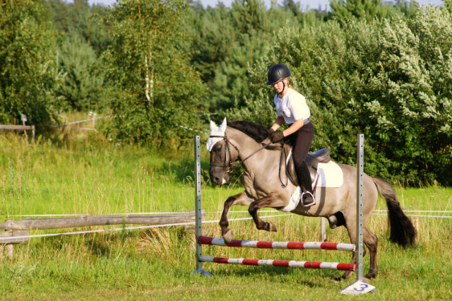 Napr :)