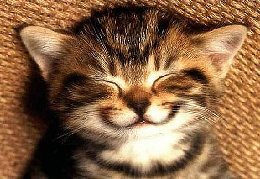 Smile na powitanie ! Dzie Dobry