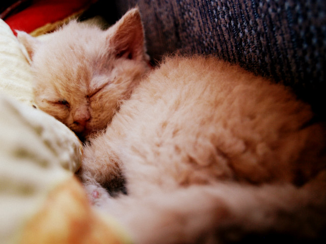 wake me up