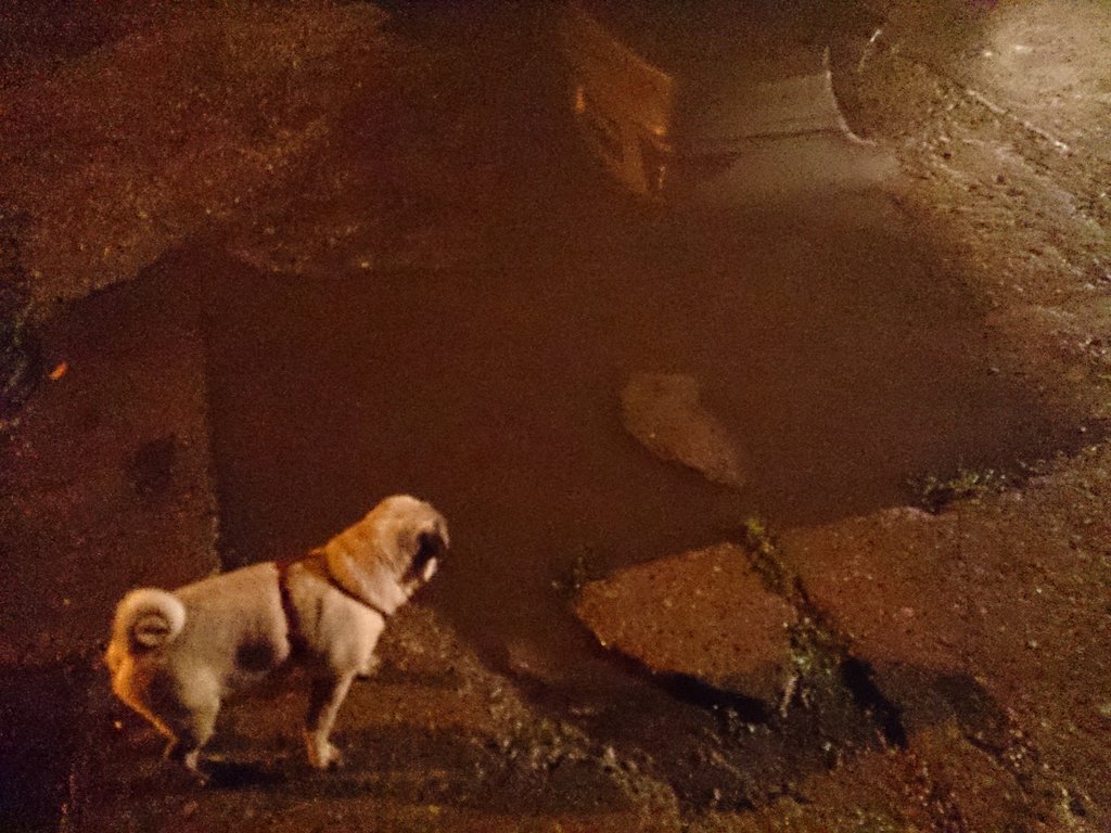  wieczorna zabawa ;3 