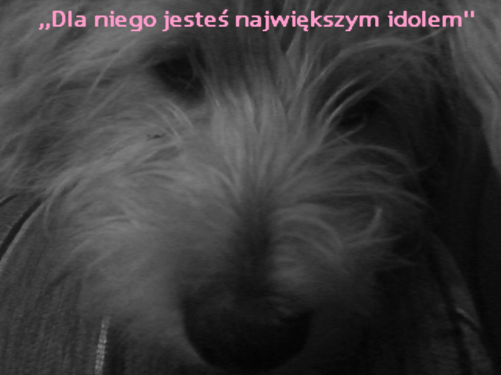 piesiulek