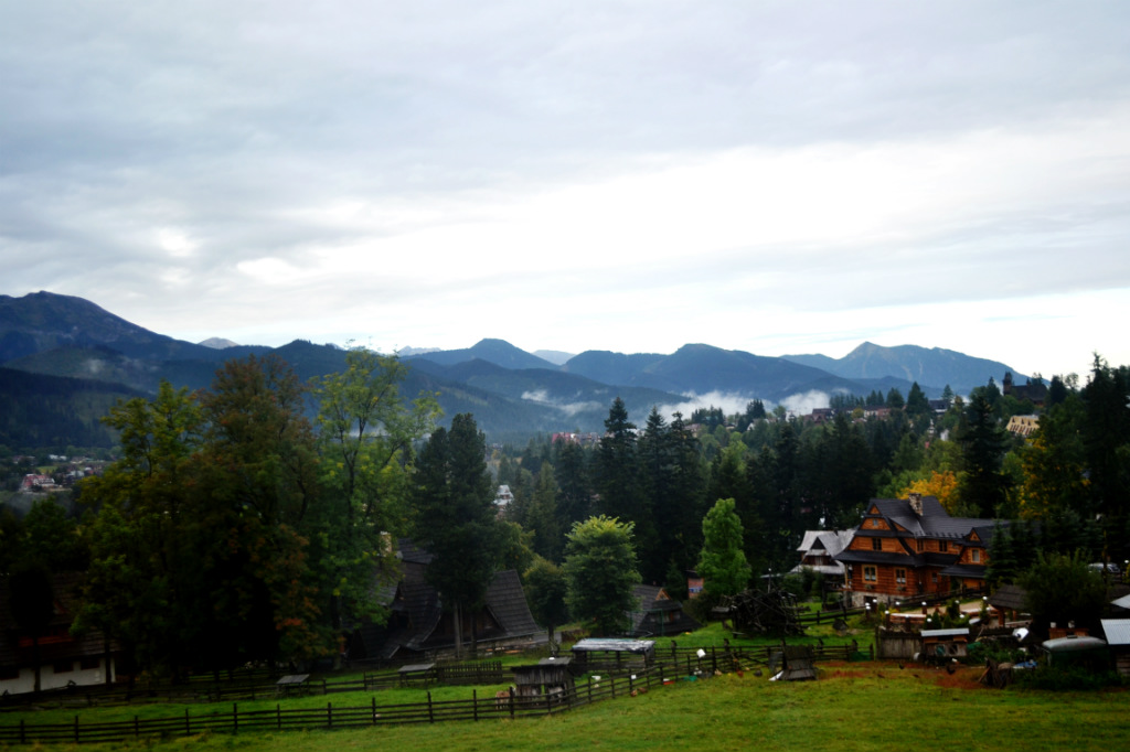 Want Back.