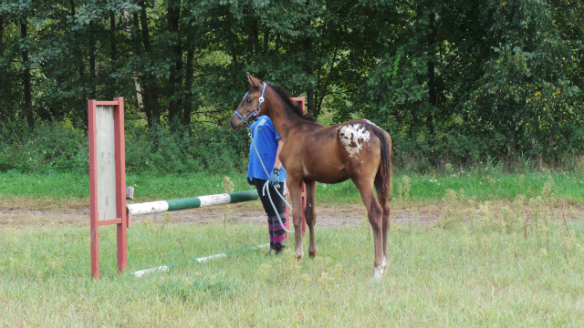 W nowym domku ^^