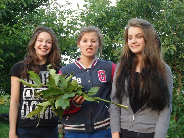bleeblee. 
