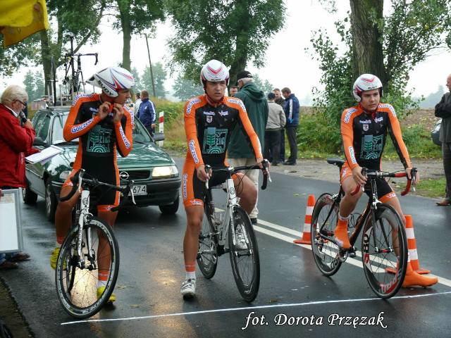 DMP 2013