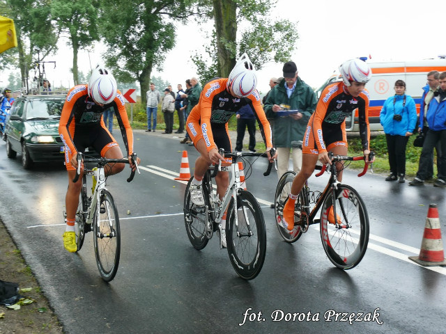 DMP 2013