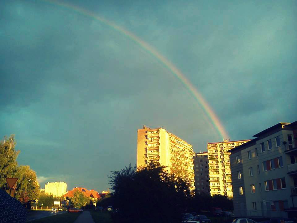 DZIEN 53