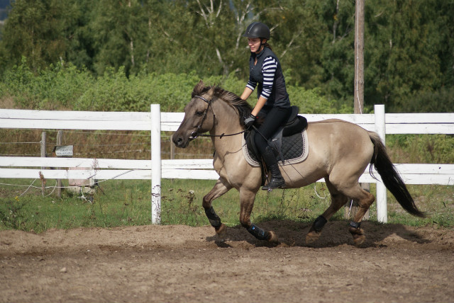 Gosia i Tadzik