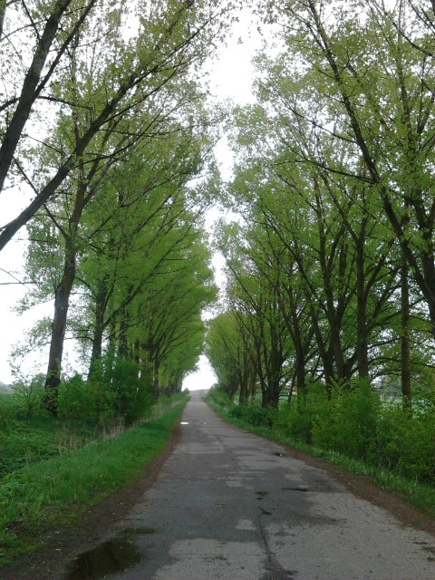 nie ma to jak dugie spacery *_*